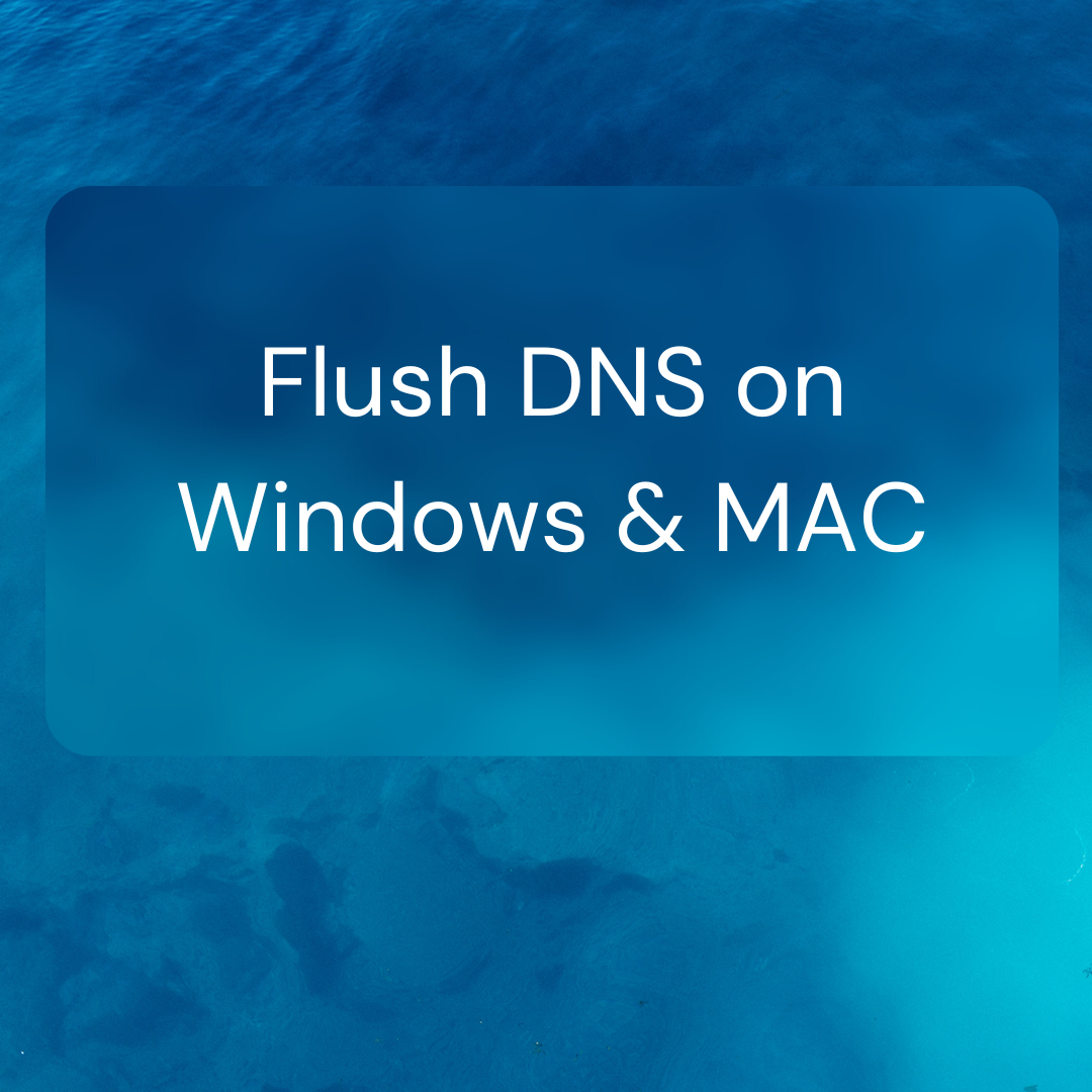 flush dns on windows and mac